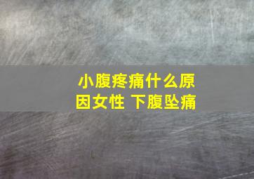 小腹疼痛什么原因女性 下腹坠痛